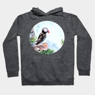 Atlantic Puffin sitting on the rocks Hoodie